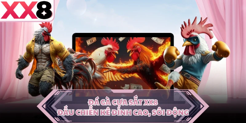 Đá Gà Cựa Sắt XX8 -  Đấu Chiến Kê Đỉnh Cao, Sôi Động 