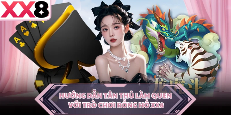 Hướng dẫn tân thủ làm quen với trò chơi Rồng Hổ XX8